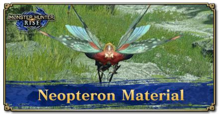 Material Types are groups of. . Mhrise neopteron